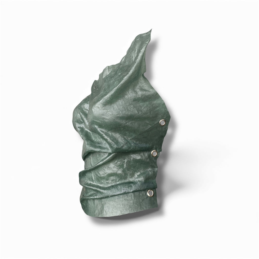WILD OLIVE CORSET