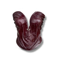 CRIMSON THORN CORSET